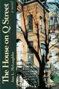 Book cover of The house on Q Street