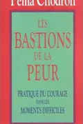 Book cover of Les Bastions de la peur