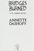 Book cover of Bridges Burned