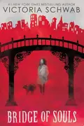 Book cover of Bridge of Souls