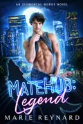 Book cover of MateHub: Legend