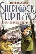 Book cover of Un crimen en navidad