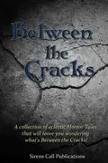 Book cover of Between the Cracks