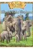 Book cover of Ella the Baby Elephant