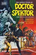 Book cover of Occult Files of Doctor Spektor Archives Volume 2
