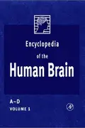 Book cover of Encyclopedia of the Human Brain, Four-Volume Set