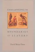 Book cover of Challenging the boundaries of slavery