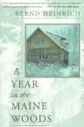 Book cover of A year in the Maine woods