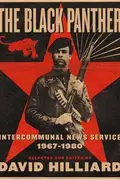 Book cover of The Black Panther