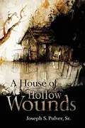Book cover of A House of Hollow Wounds