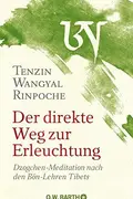 Book cover of Der direkte Weg zur Erleuchtung