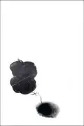 Book cover of Terence Koh