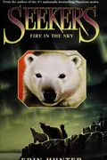 Book cover of Fire in the Sky