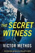 Book cover of The Secret Witness