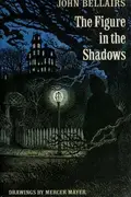 Book cover of The Figure in the Shadows