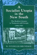 Book cover of A Socialist Utopiin the New South