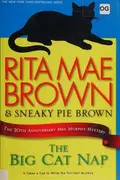 Book cover of The big cat nap