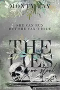 Book cover of The Lies we Steal
