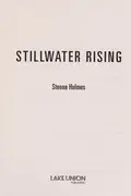 Book cover of Stillwater rising