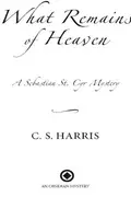 Book cover of What Remains of Heaven