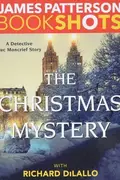 Book cover of Christmas Mystery