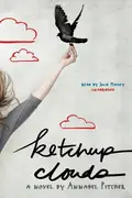 Book cover of Ketchup Clouds