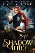 Book cover of Shadow Thief