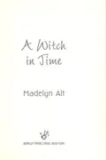 Book cover of A witch in time