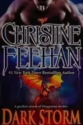 Book cover of Dark Storm