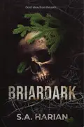 Book cover of Briardark