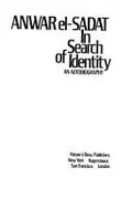 Book cover of In search of identity