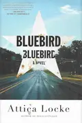 Book cover of Bluebird, Bluebird