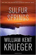 Book cover of Sulfur Springs