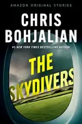 Book cover of The Skydivers
