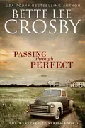 Book cover of Passing Through Perfect