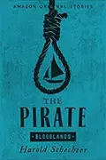 Book cover of The Pirate