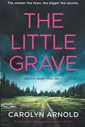 Book cover of The Little Grave