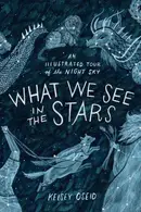 Book cover of What We See in the Stars