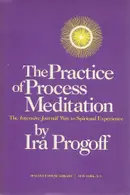 Book cover of The Practice of Process Meditation