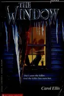 Book cover of The Window