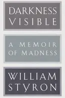 Book cover of Darkness Visible