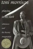 Book cover of Playing in the Dark