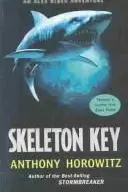 Book cover of Skeleton Key