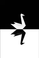 Book cover of The Black Swan