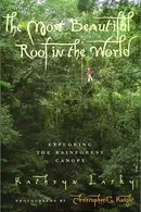 Book cover of The Most Beautiful Roof in the World