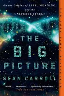 Book cover of The Big Picture