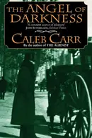 Book cover of The Angel of Darkness
