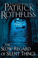 Book cover of A Slow Regard of Silent Things