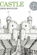 Book cover of Castle
