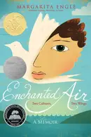 Book cover of Enchanted air